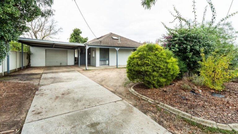 WhatsApp Image 2025-09-08 at 12.26