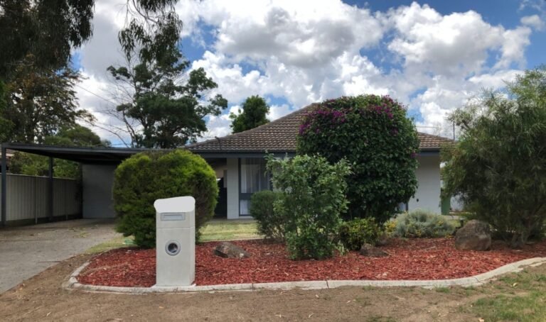 WhatsApp Image 2025-09-08 at 12.26